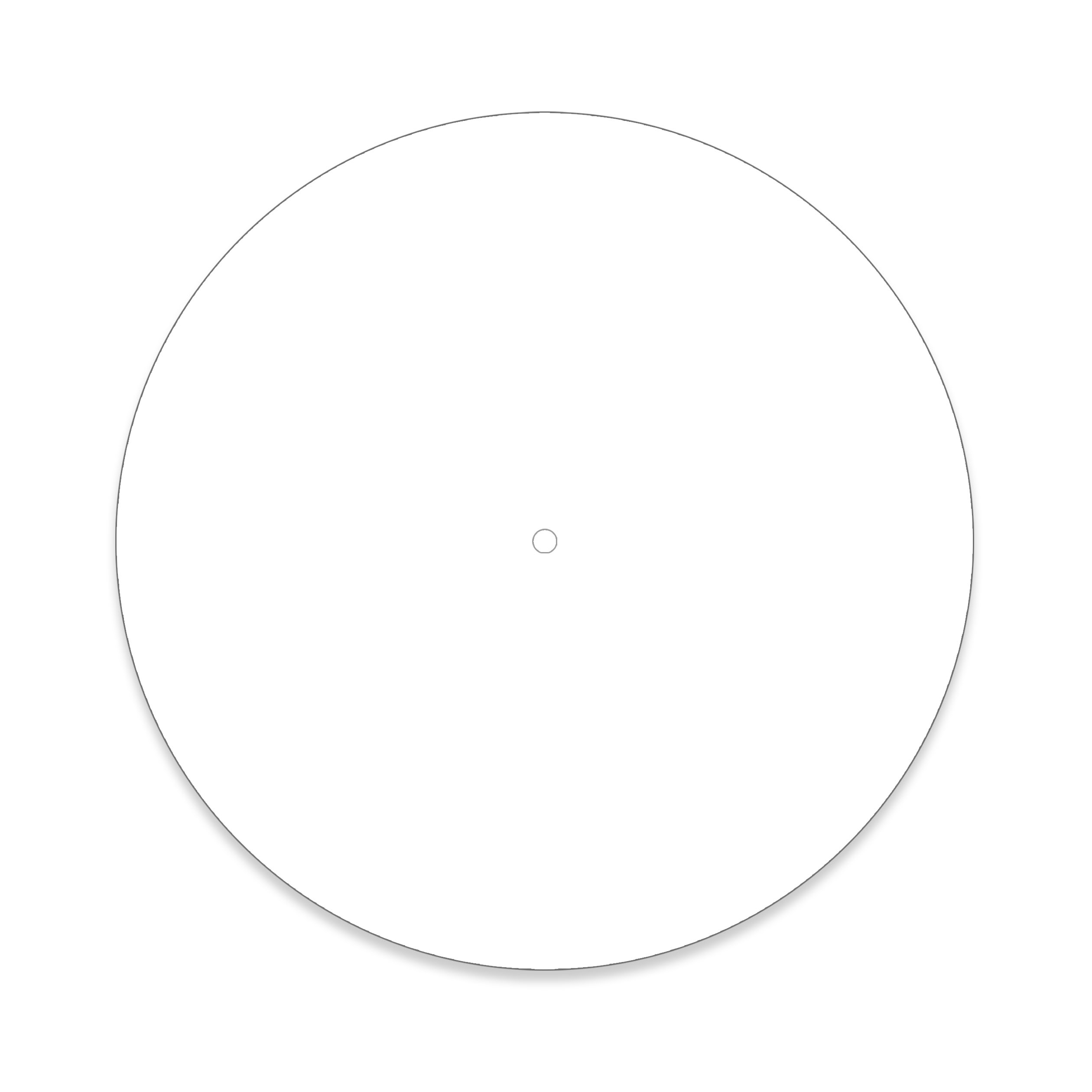 10 Inch Clear Blankdisc co