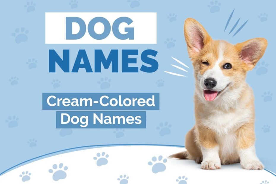 100 Cream Colored Dog Names Ideas For Beige U0026 Tan Coats Hepper Pet Resources