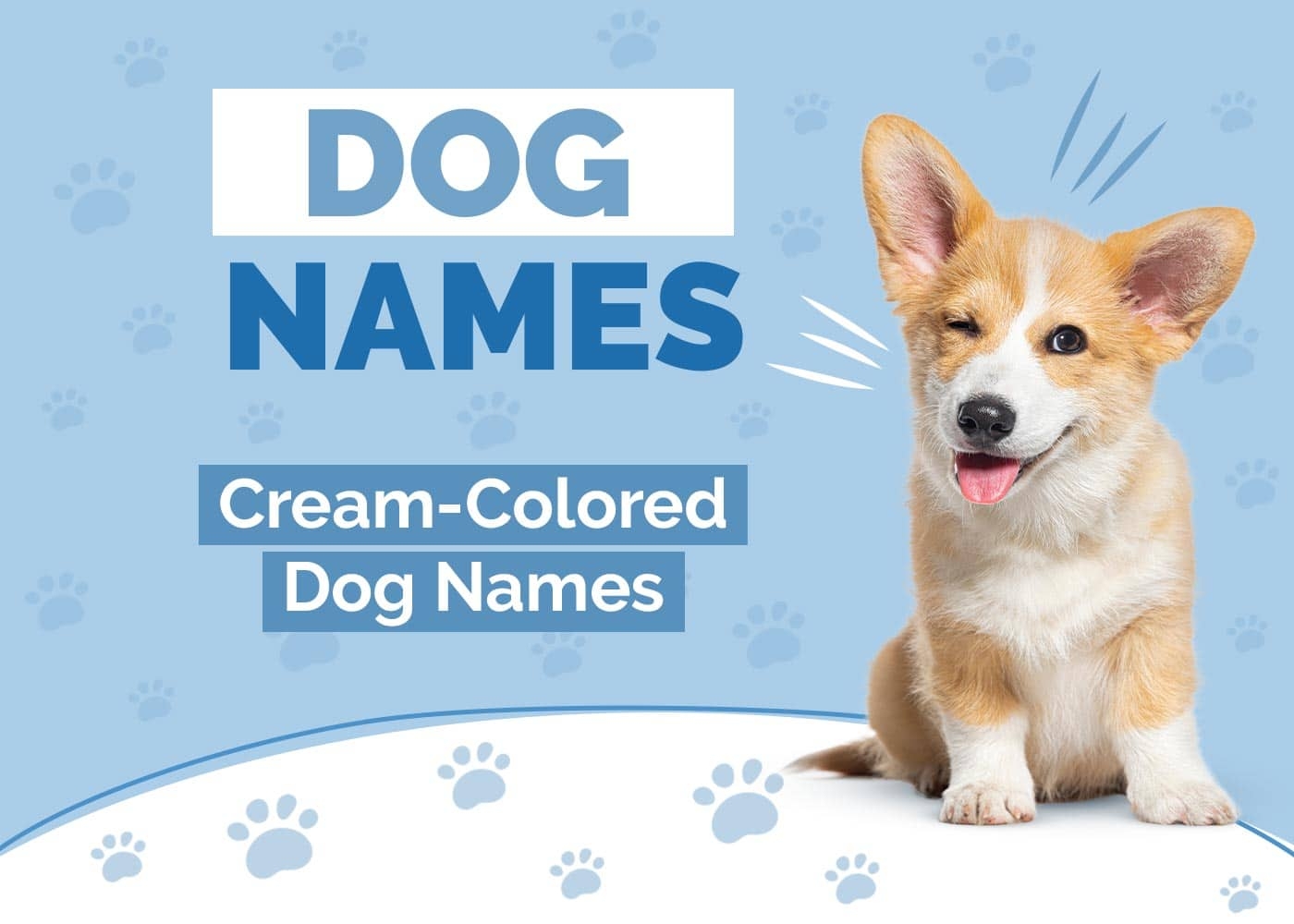 100 Cream Colored Dog Names Ideas For Beige U0026 Tan Coats Hepper Pet Resources