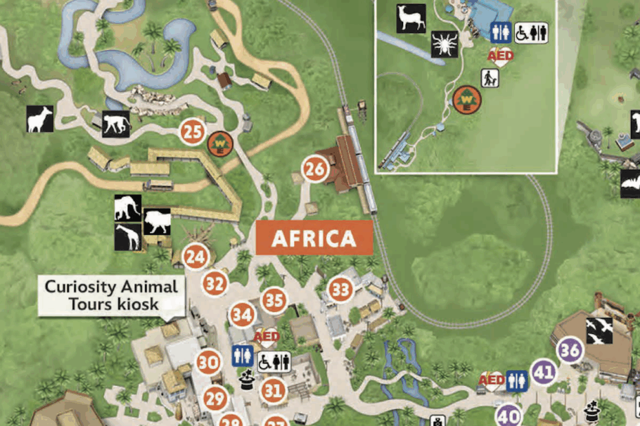 2024 Disney s Animal Kingdom Map Printable PDF U0026 Details