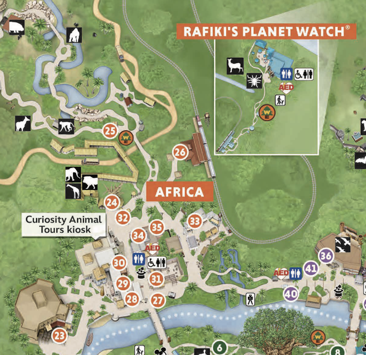 2024 Disney s Animal Kingdom Map Printable PDF U0026 Details 