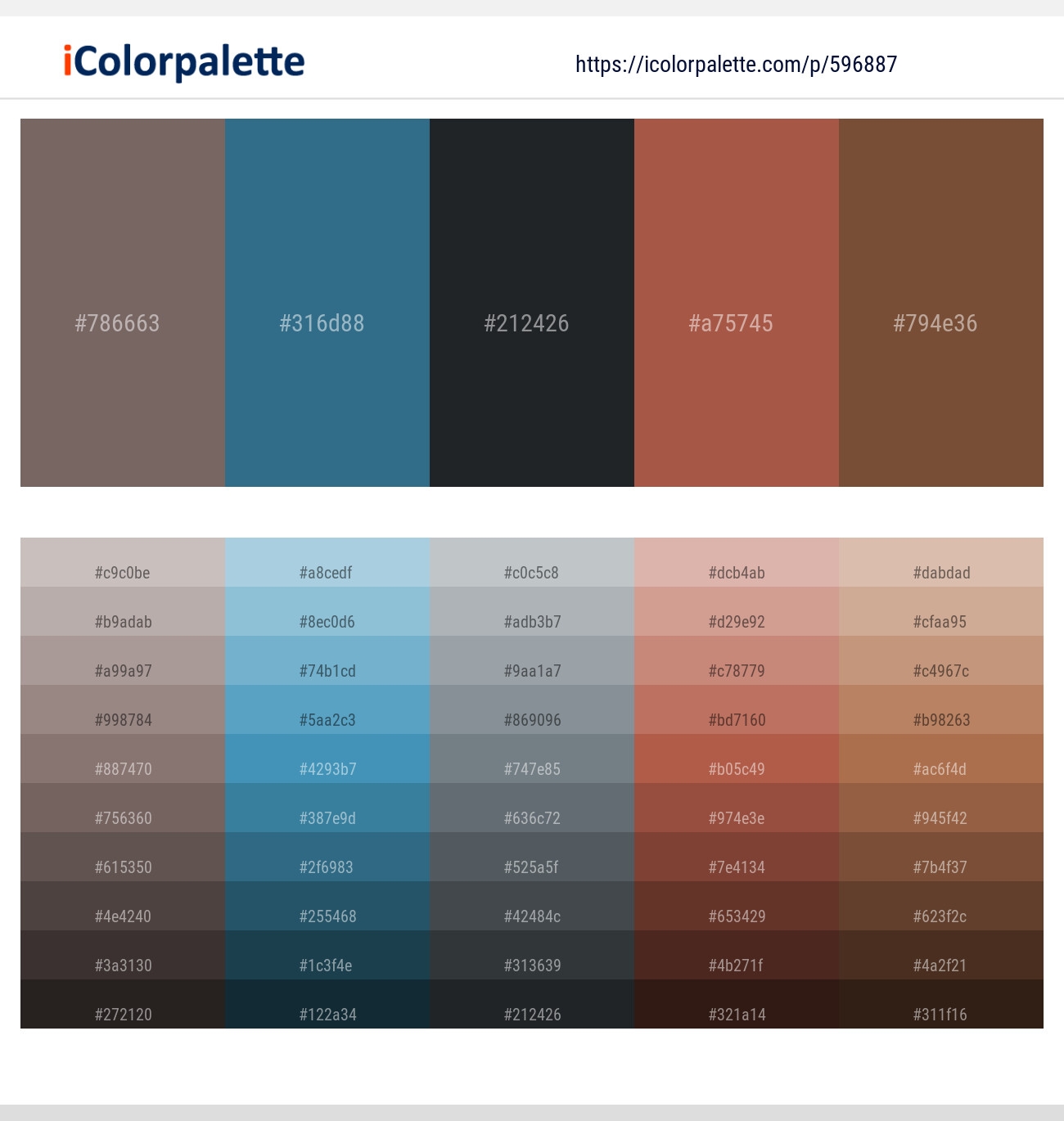 shark color palette