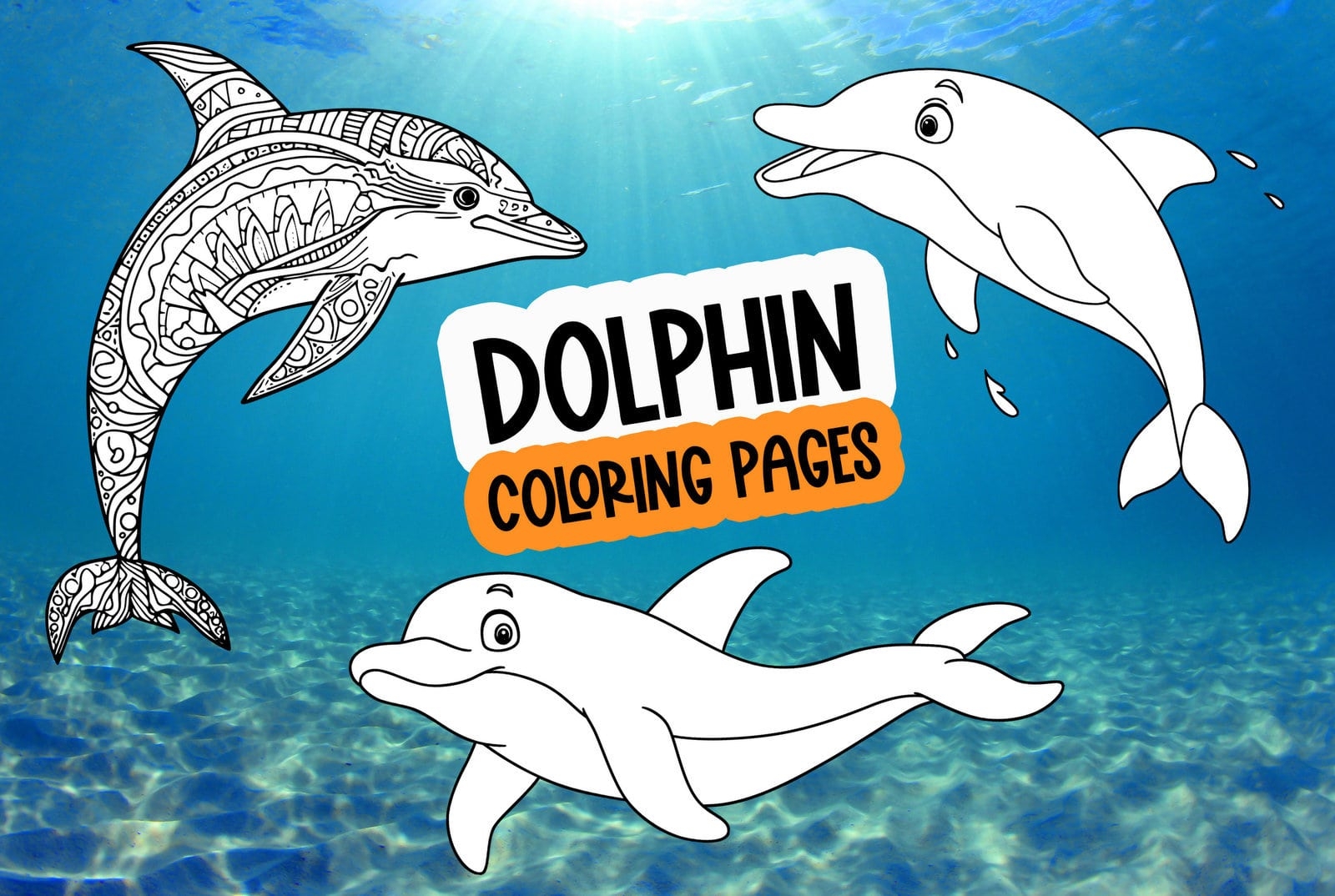 27 Printable Dolphin Coloring Pages Dive Into A World Of Fun Crafts U0026 Learning Activities At PrintColorFun