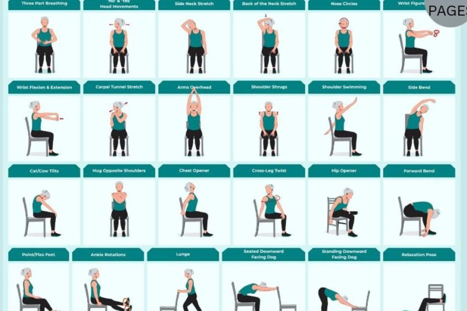 30 Chair Yoga Exercise In Our Guide For Seniors Wheelchair Users Home Balance Stability 30day Challenge Workout Physical Therapy Pilates PDF Etsy
