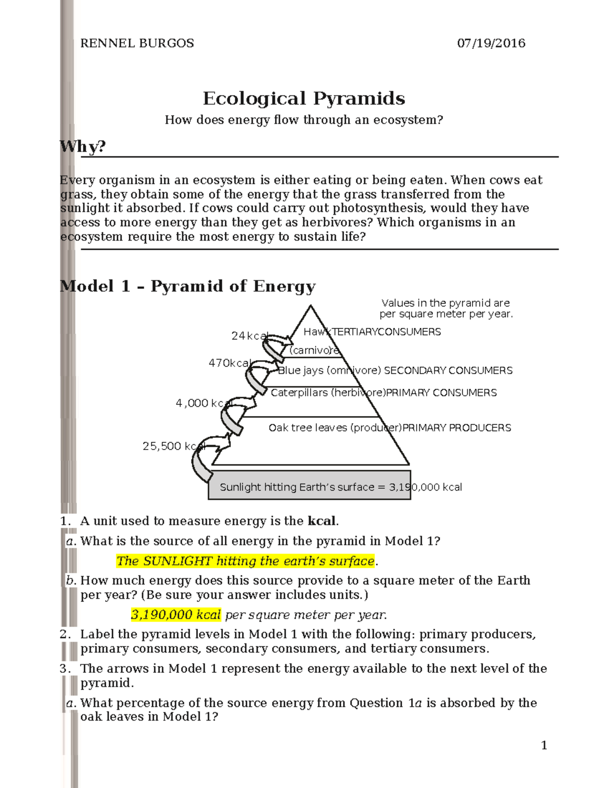 ecological pyramids worksheet
