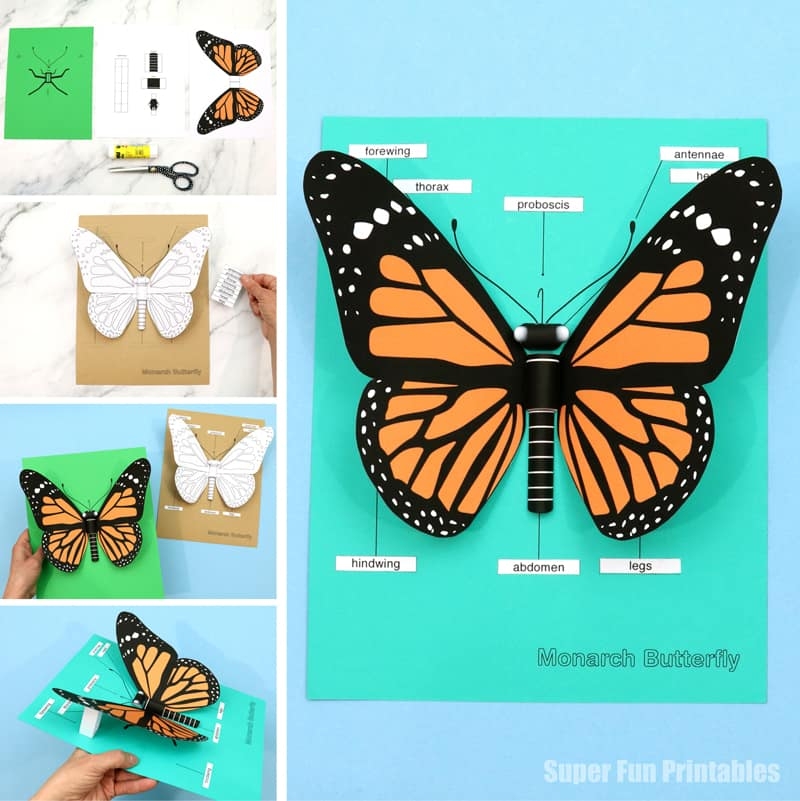 printable 3d butterfly template