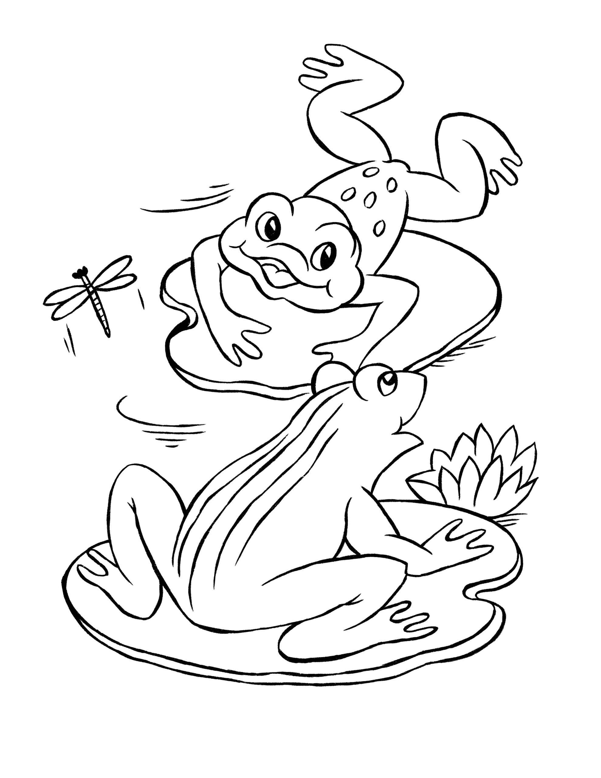 printable coloring pages frogs