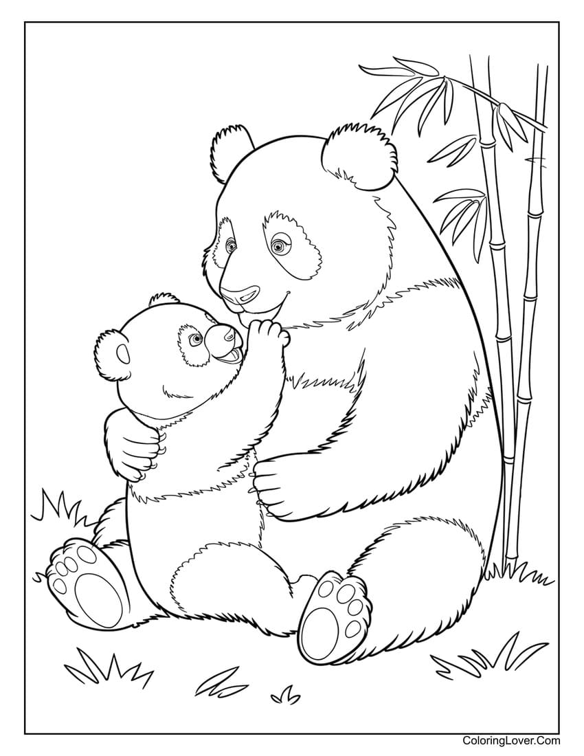 panda bears pictures color