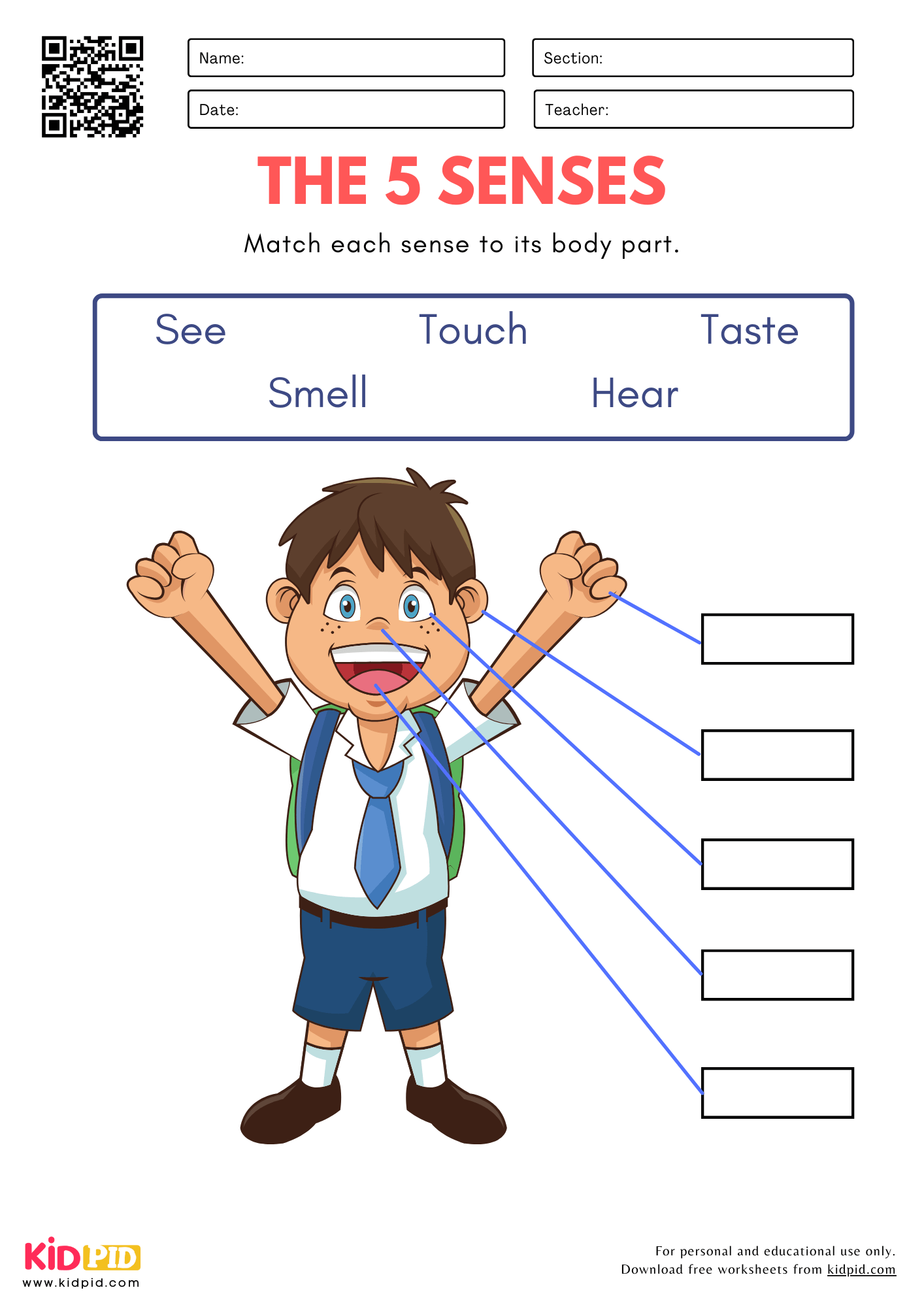 5 senses worksheets for preschoolers