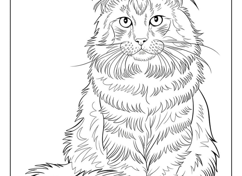 54 Cat Coloring Pages Free Printables For All Ages