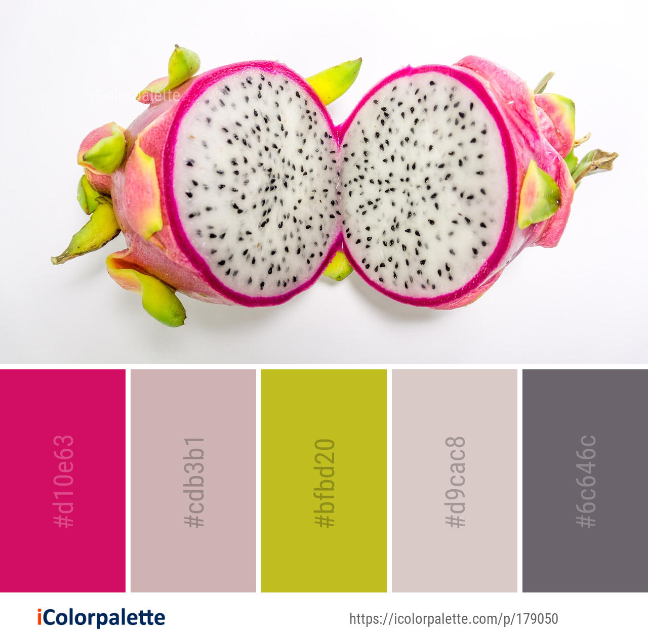 9 Dragonfruit Color Palette Ideas In 2025 IColorpalette