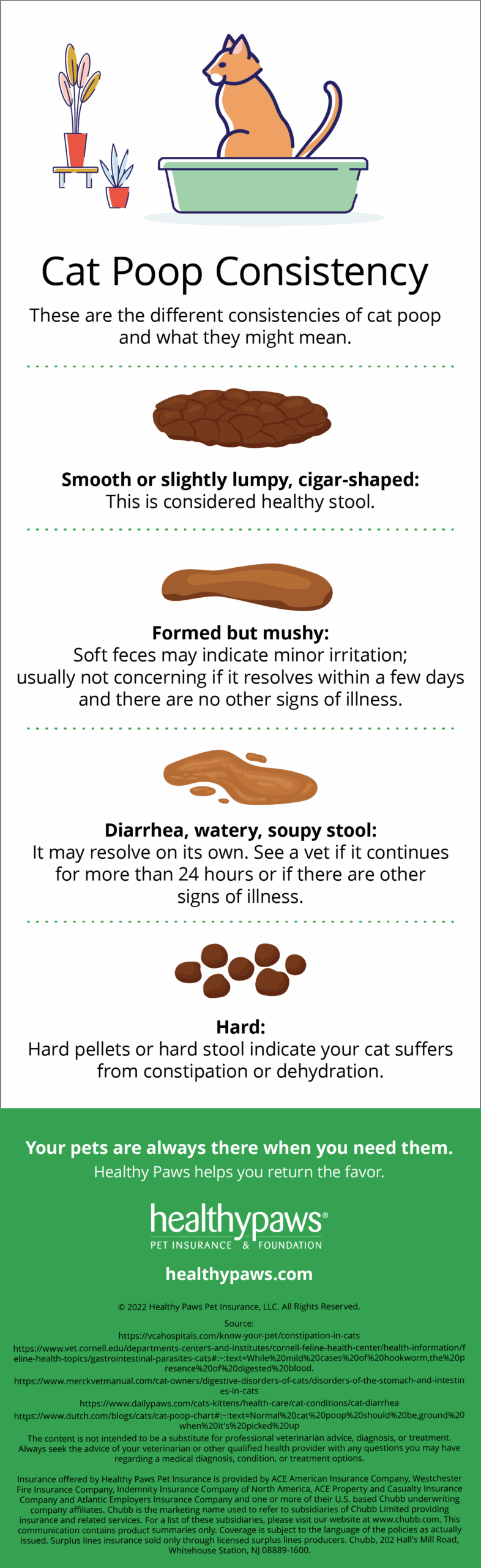A Guide To Healthy Cat Poop Healthy Paws Pet Insurance