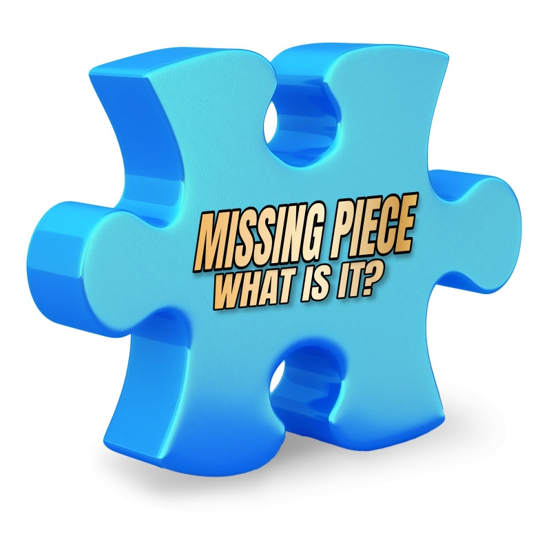 missing puzzle piece meme template