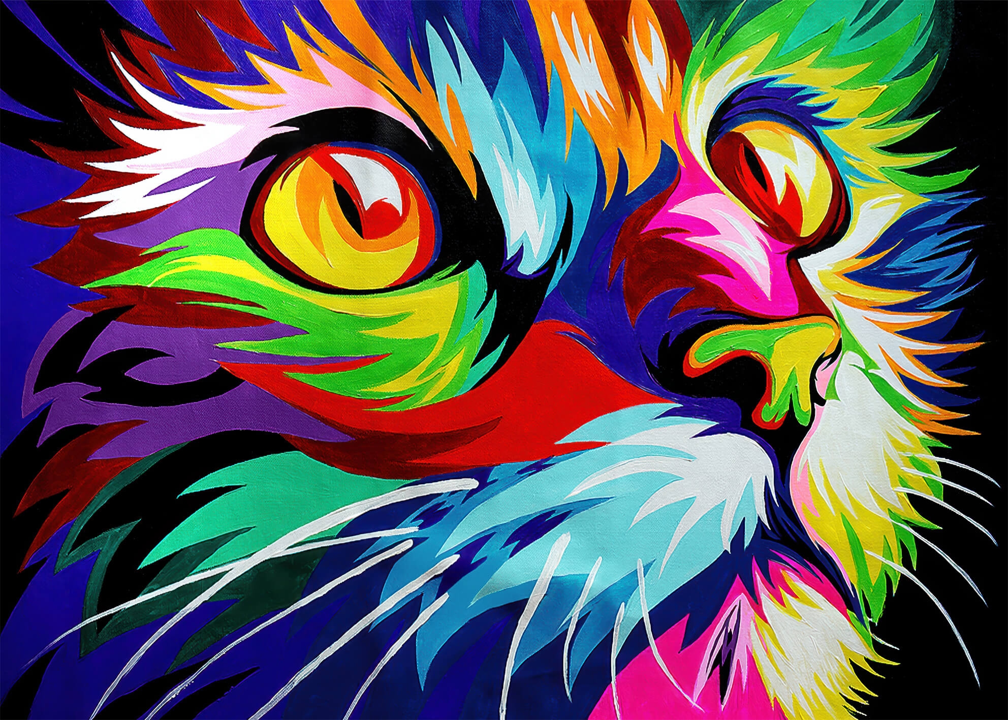 colorful cat