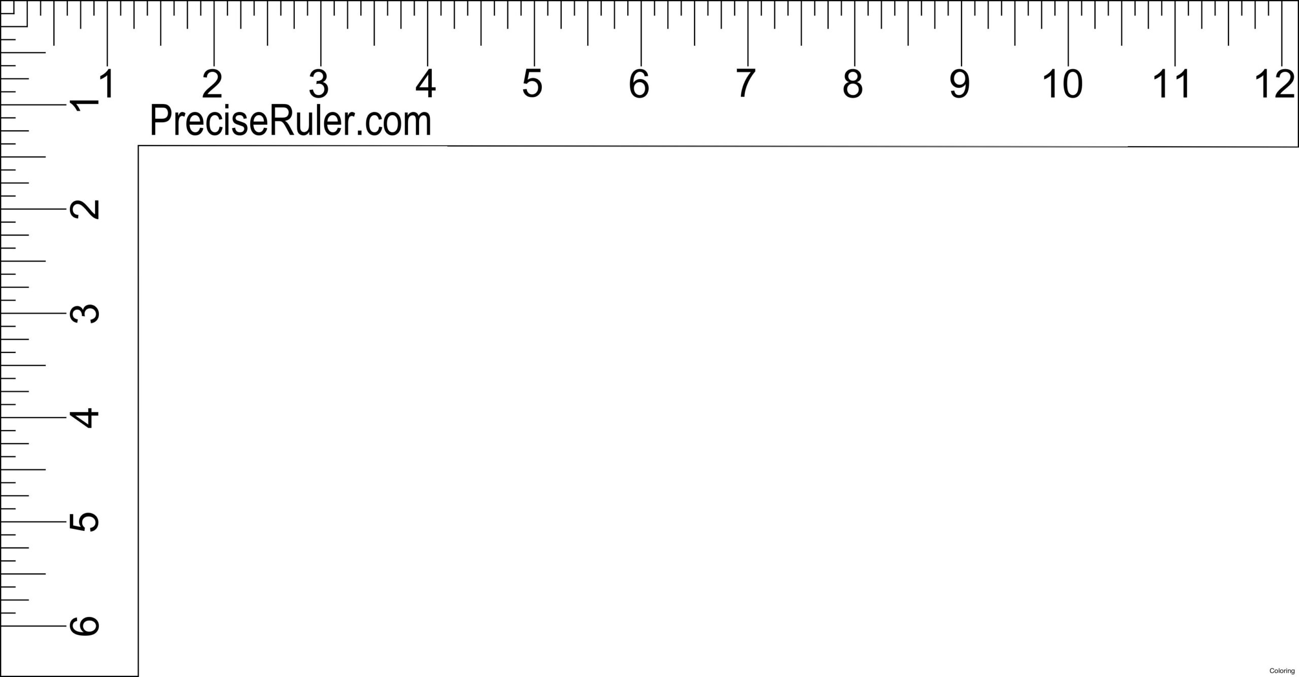Actual Mm Ruler Printable Top