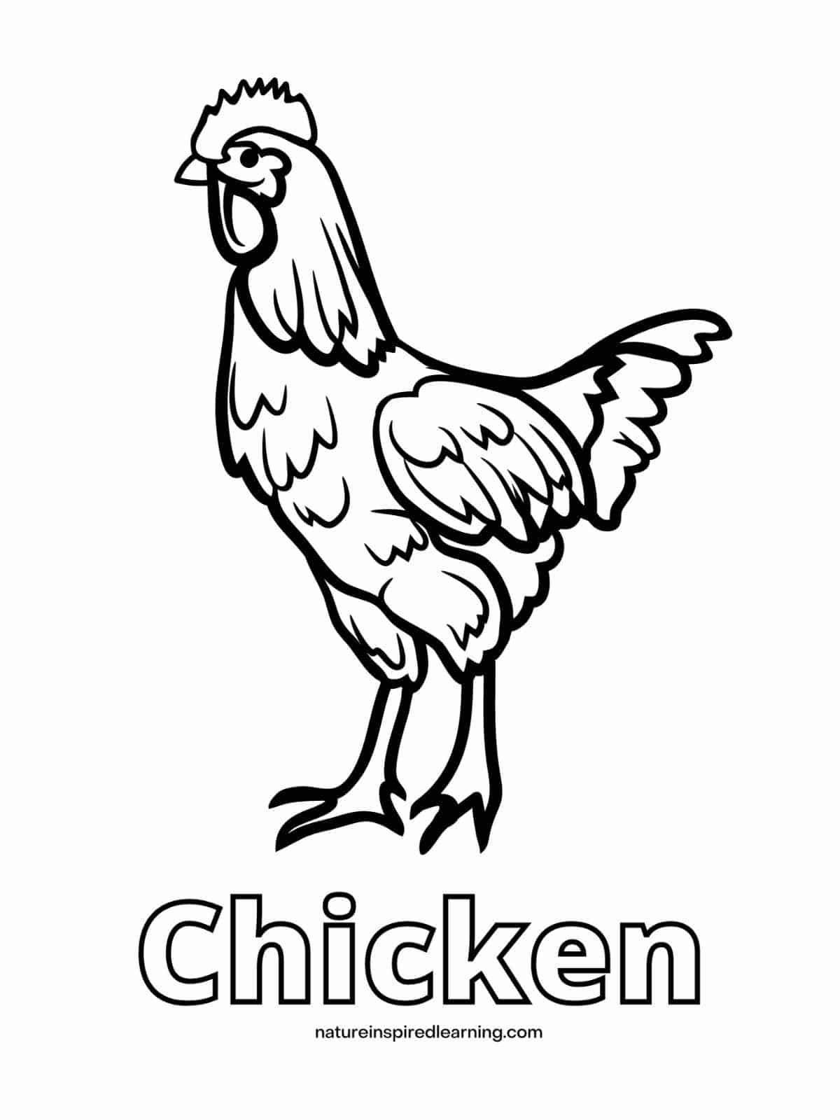 chicken printable
