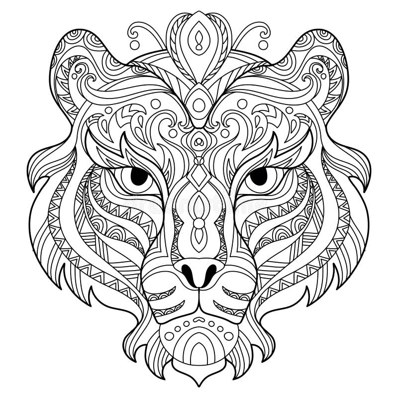 Adult Coloring Tiger Stock Illustrations 537 Adult Coloring 