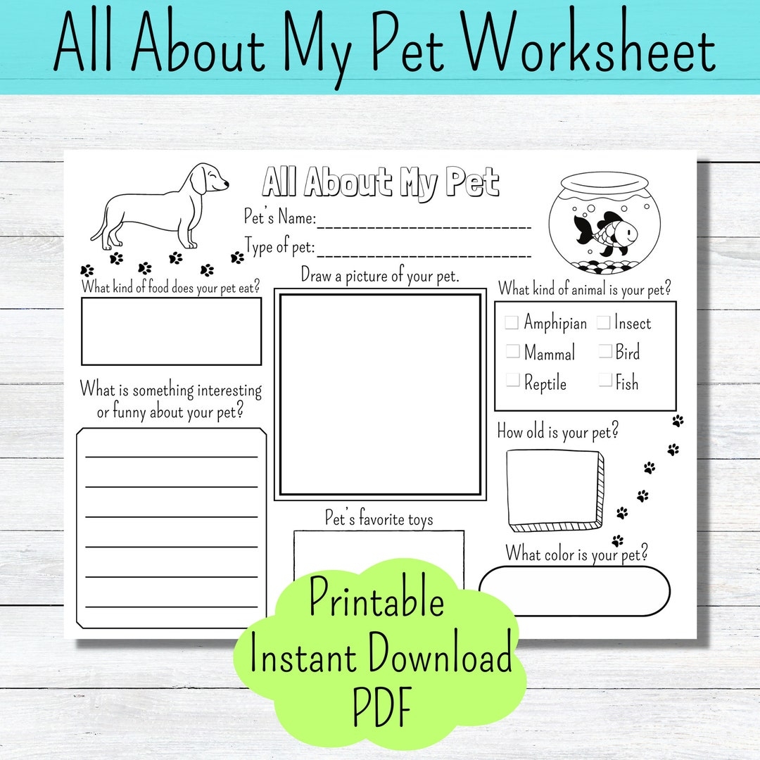 make a picture of your pet worksheet