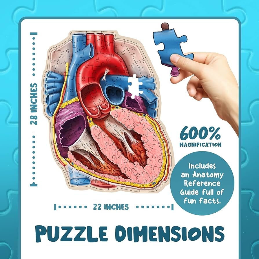 human heart puzzle pieces template