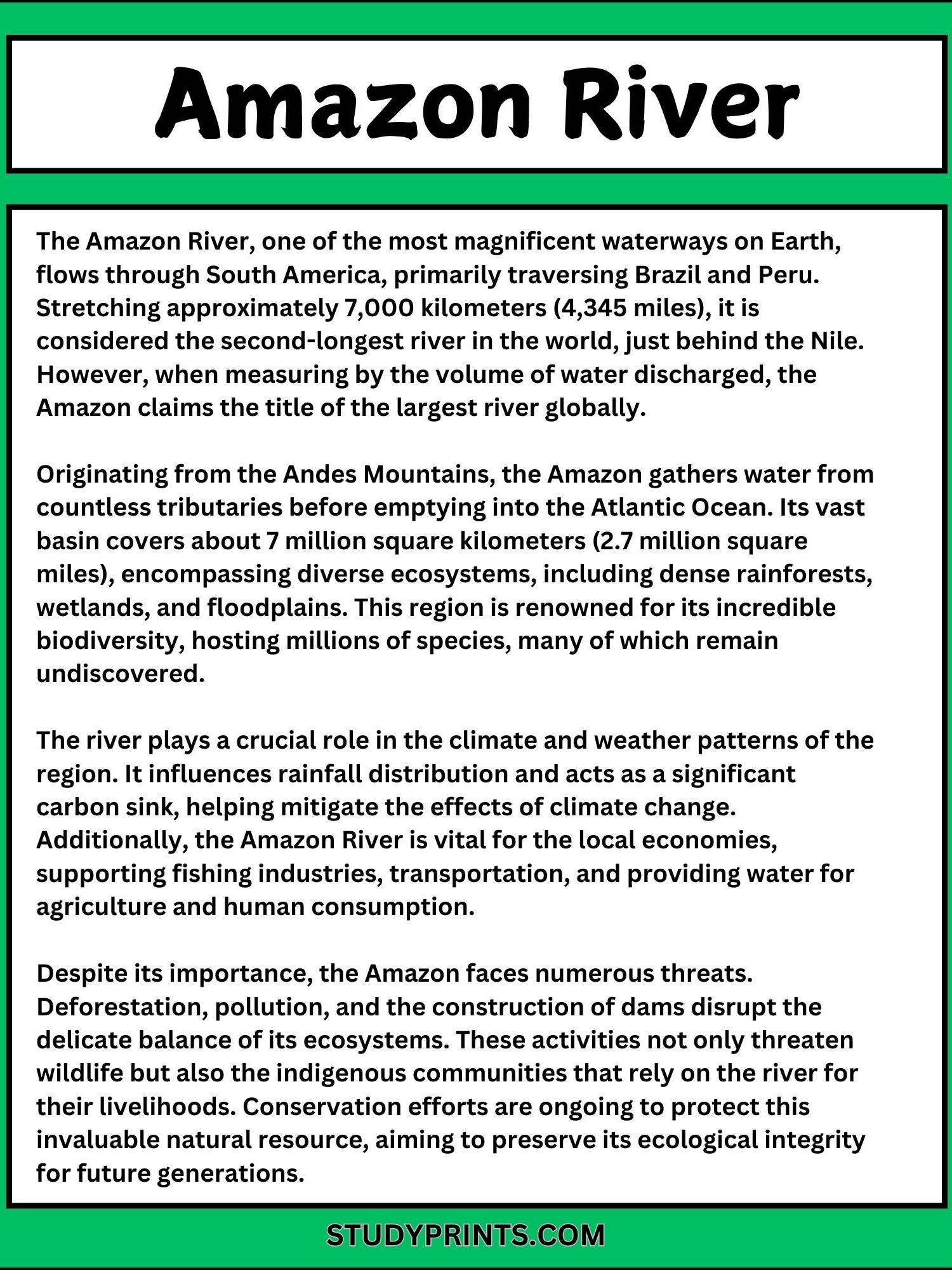 Amazon River Reading Comprehension Worksheet With Questions 