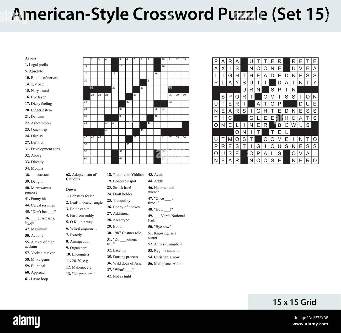 American Style Crossword Puzzle With A 15 X 15 Grid Includes Blank Crossword Grid Clues And Solution Stock Vector Image U0026 Art Alamy