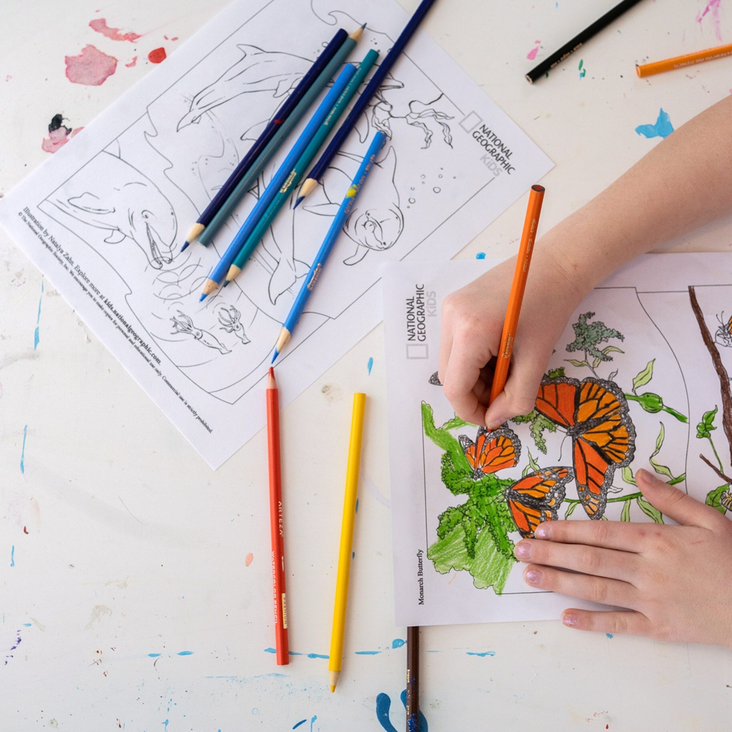 Animal Coloring Pages National Geographic Kids