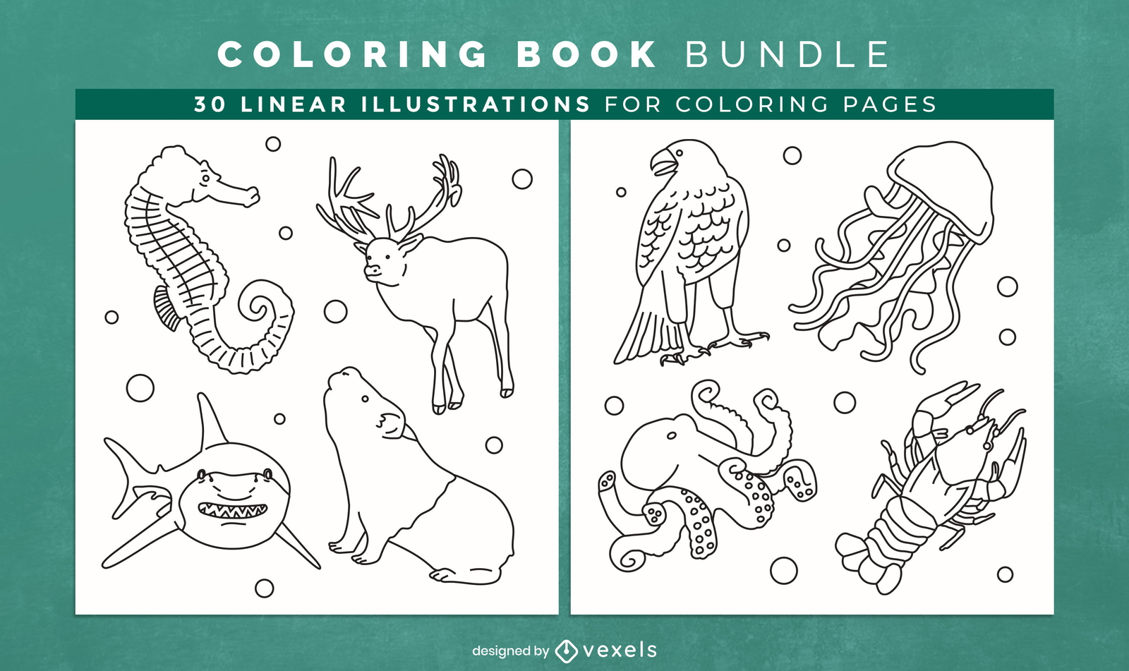 wildlife animal coloring pages