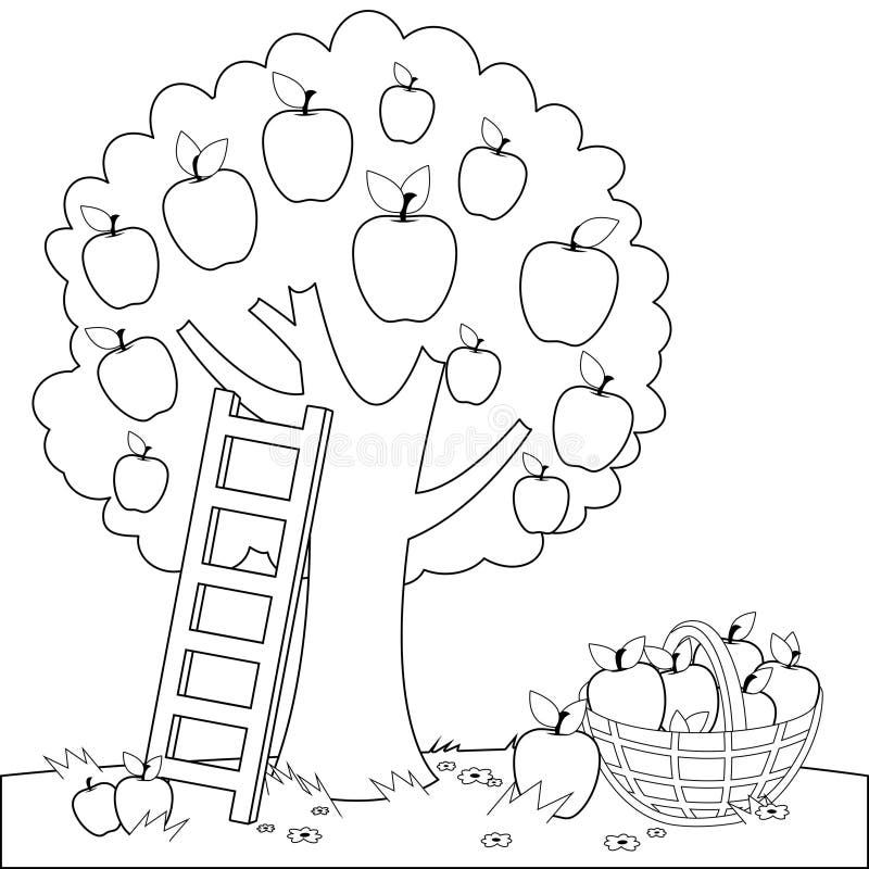 Apple Orchard Coloring Page Stock Illustrations 71 Apple Orchard Coloring Page Stock Illustrations Vectors U0026 Clipart Dreamstime