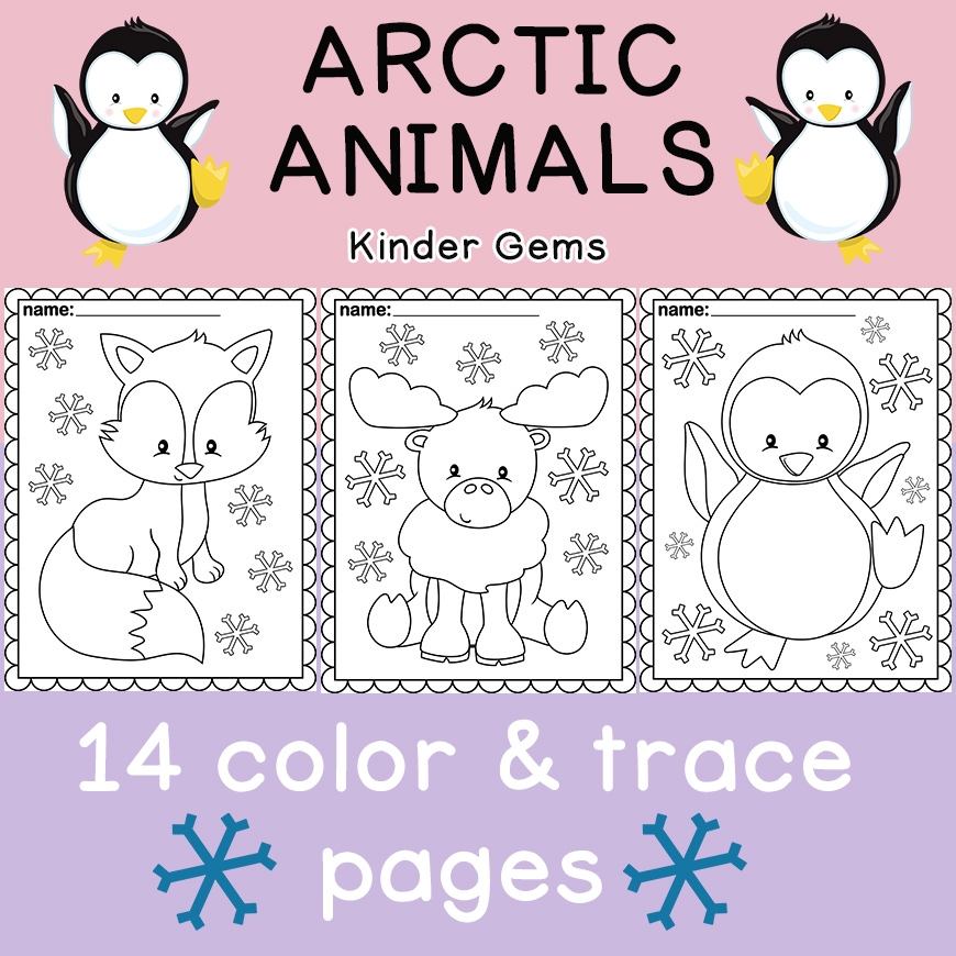 arctic animal coloring pages