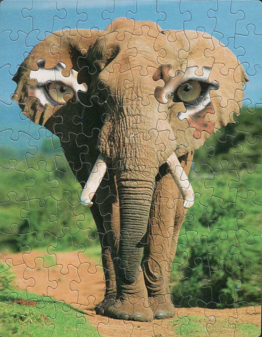 Artist Comes Up With Genius Way To Use Puzzles Sells The Result 