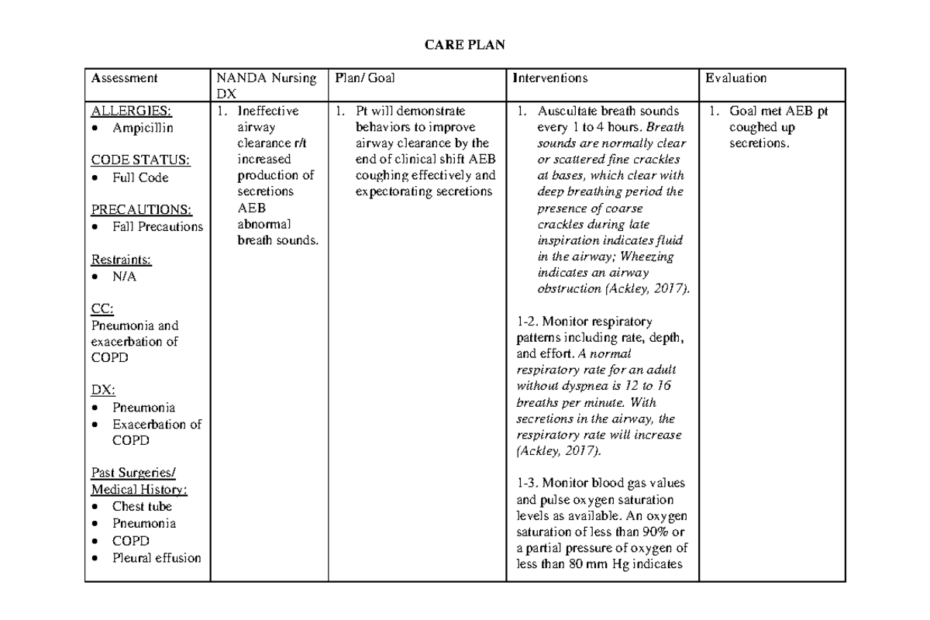 ATI COPD Care Plan ATI Template CARE PLAN A Ssessment NANDA