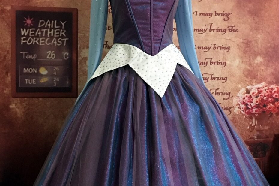 Aurora Dress Color Changing Adult Aurora Change Color Costume Etsy