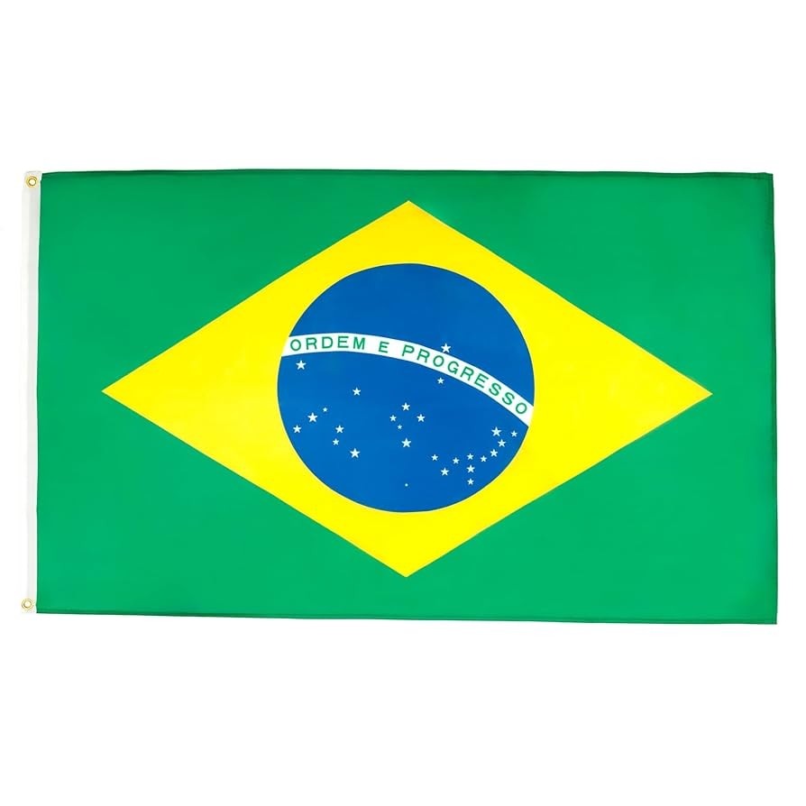 brazilian flag to color