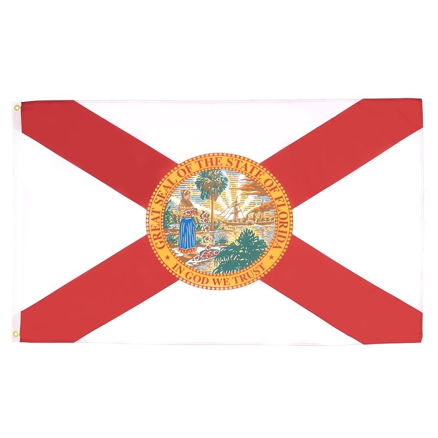 AZ FLAG Florida Flag 3x5 Ft Light Polyester Us State Of Floride Banner With Two Brass Eyelets Fade Resistant Vivid Colors 3 X 5 Feet 