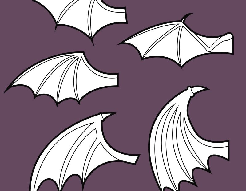 Bat Wings Template Collection 5 Wing Shapes