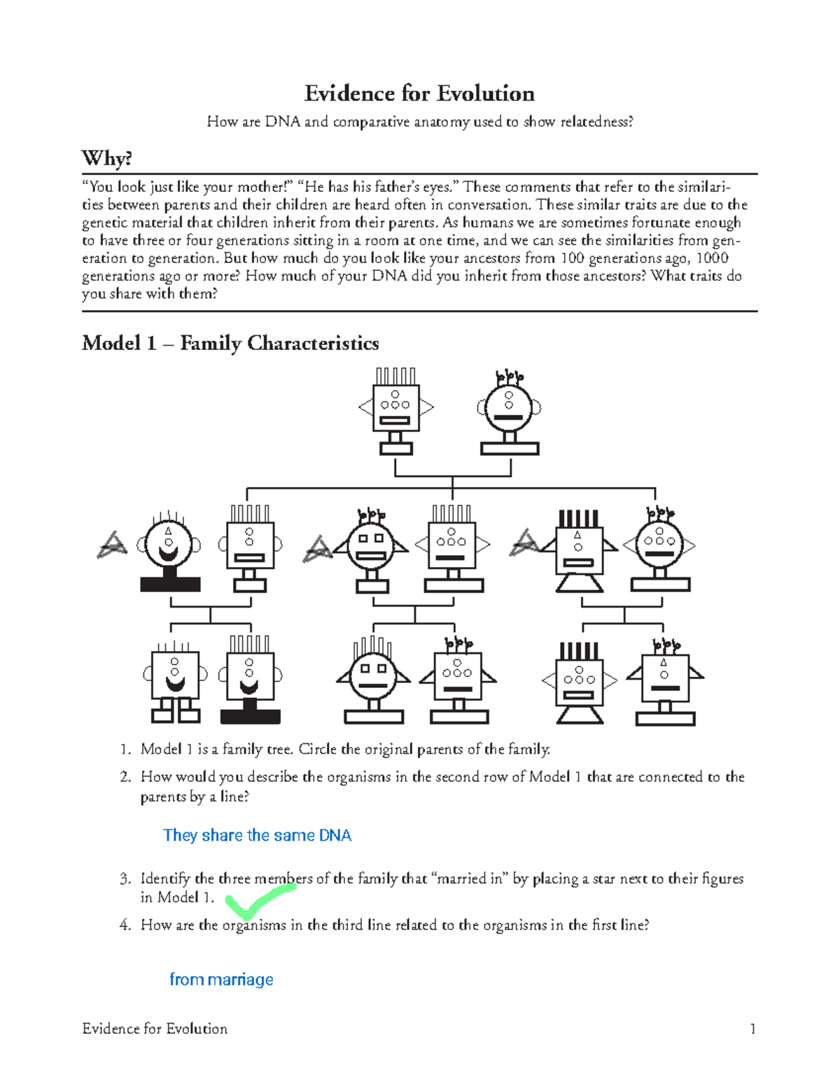 biological classification worksheet answer key