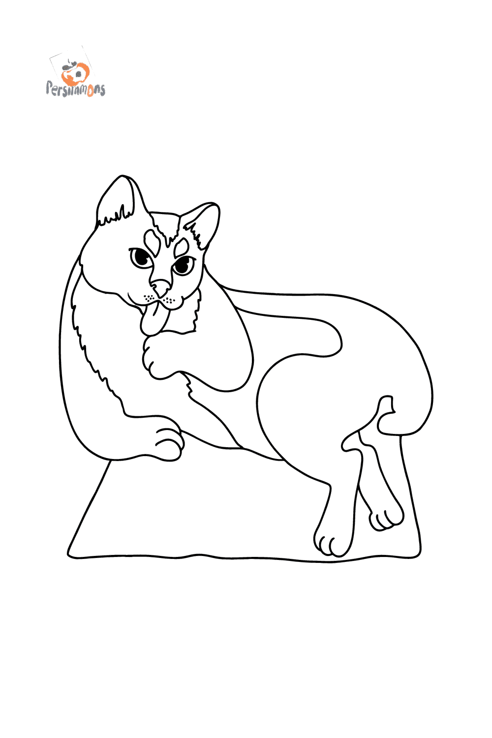Black Cat Coloring Page Online And Print For Free 