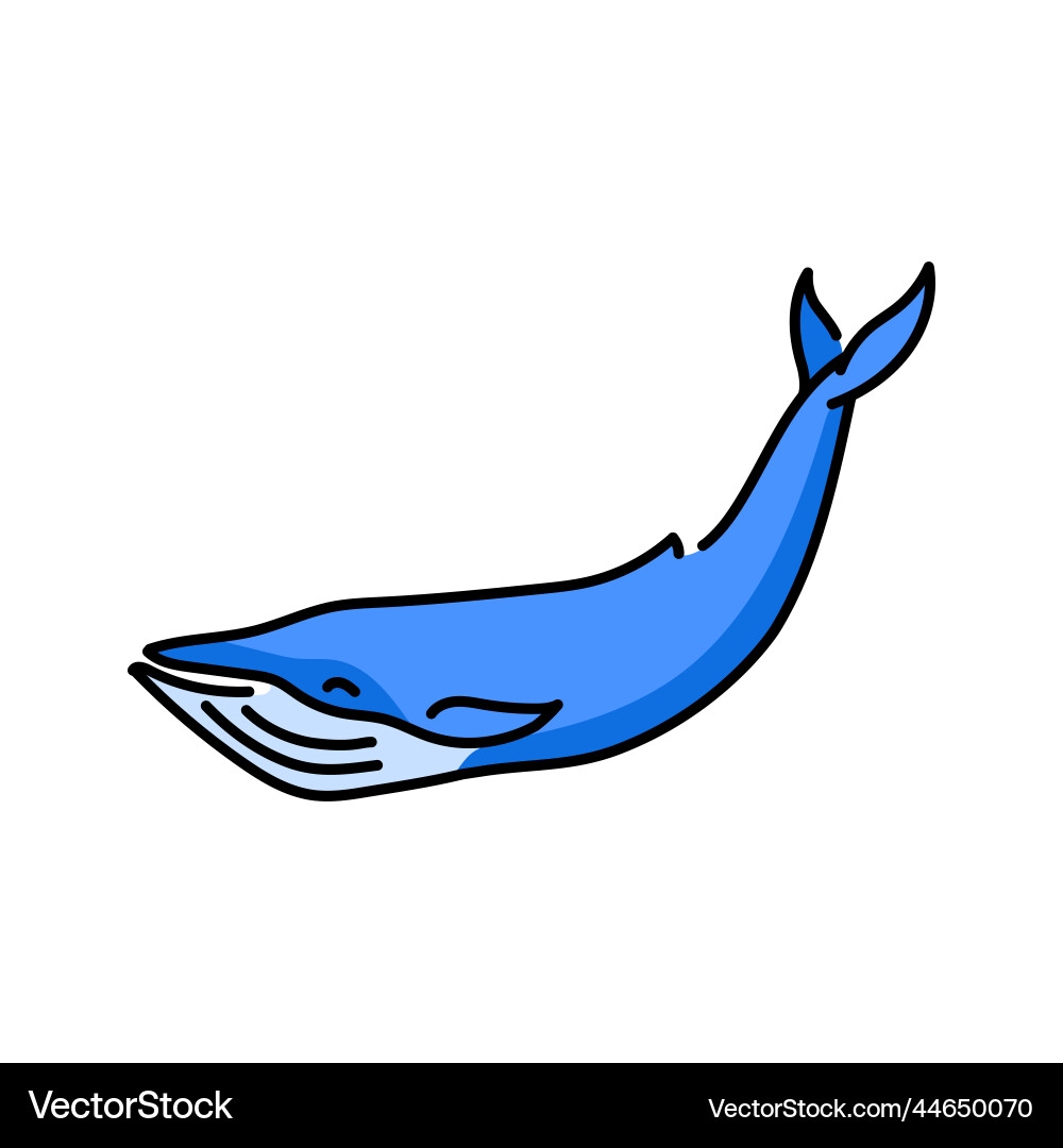 Blue Whale Color Line Marine Mammals Royalty Free Vector
