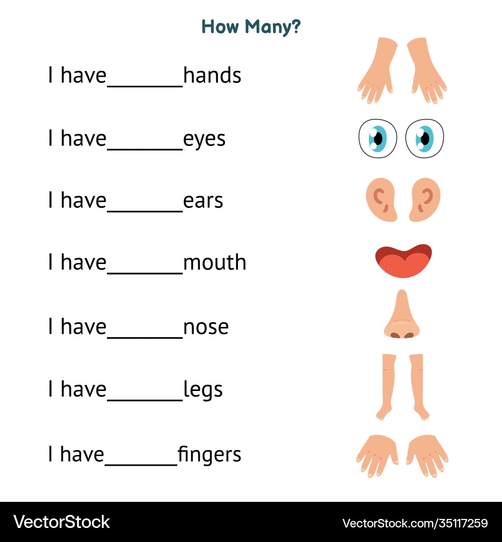 body parts worksheet