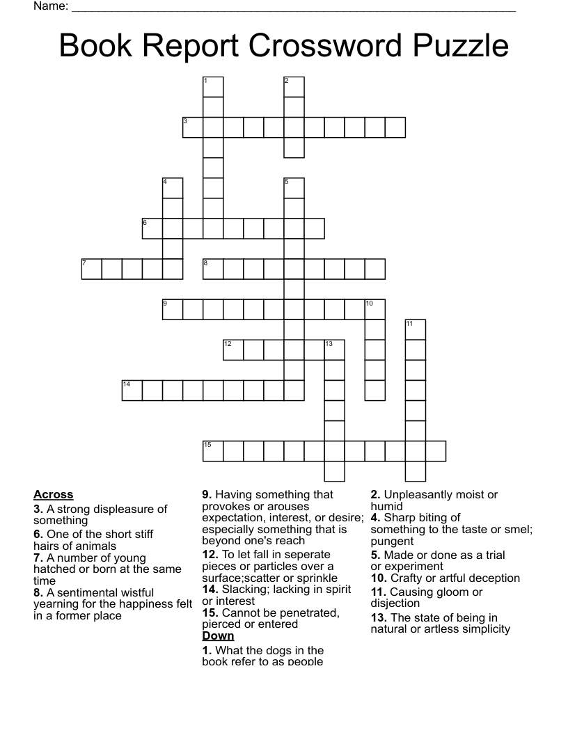 puzzle book report template