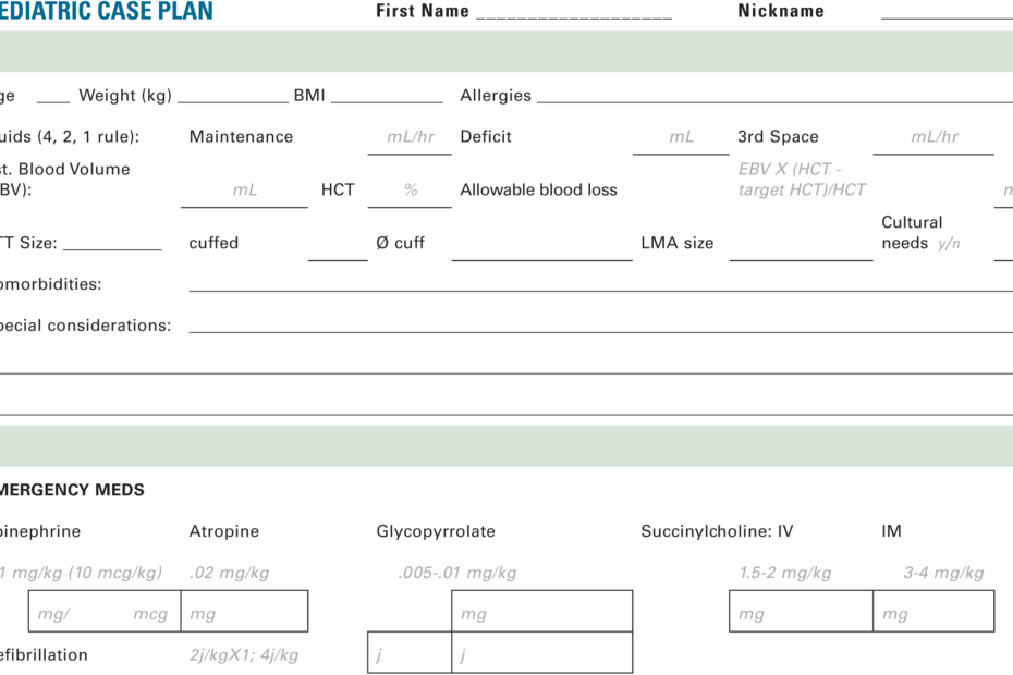 Case Plan Template Springer Publishing