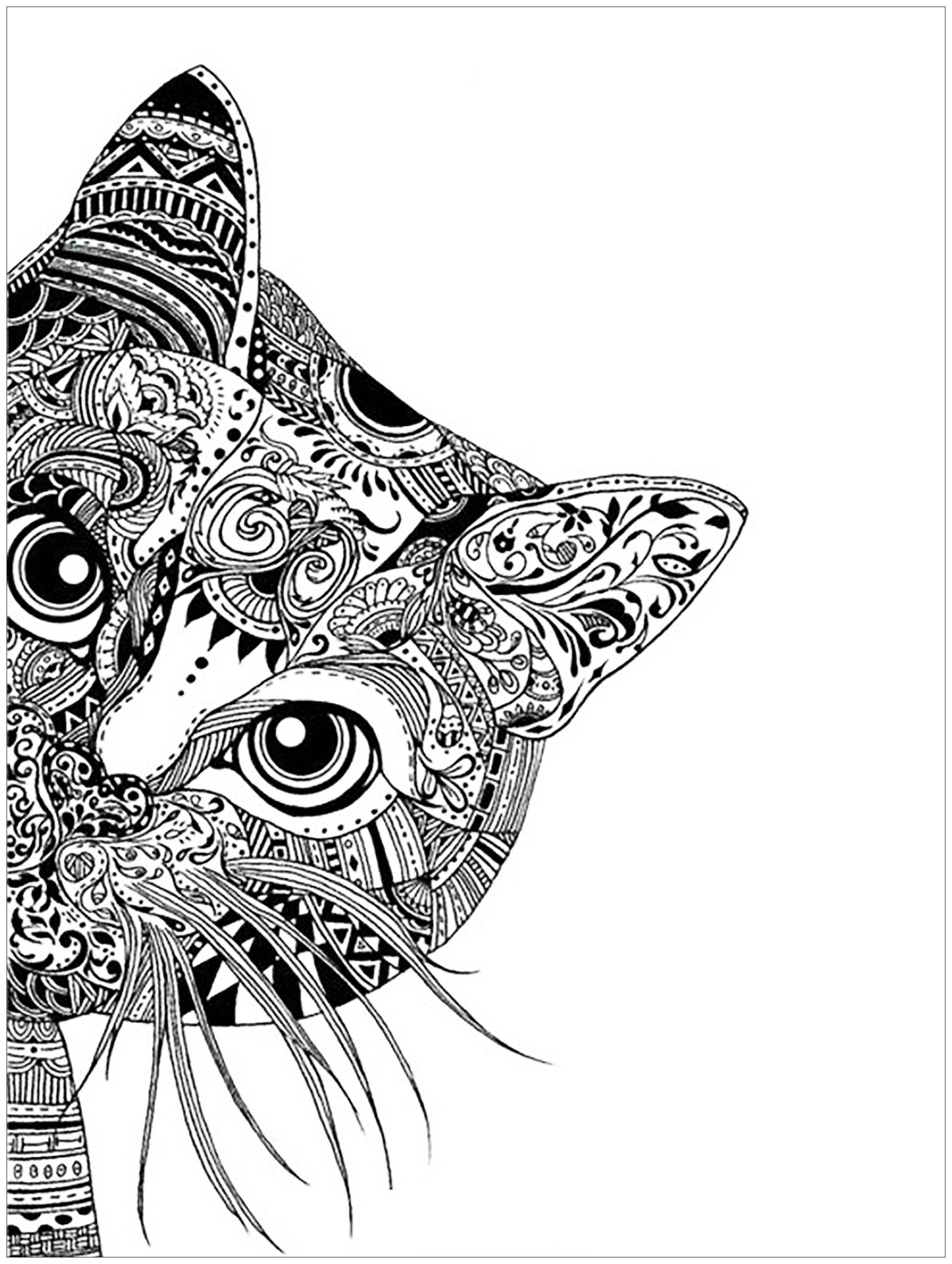 coloring pages for adults cats