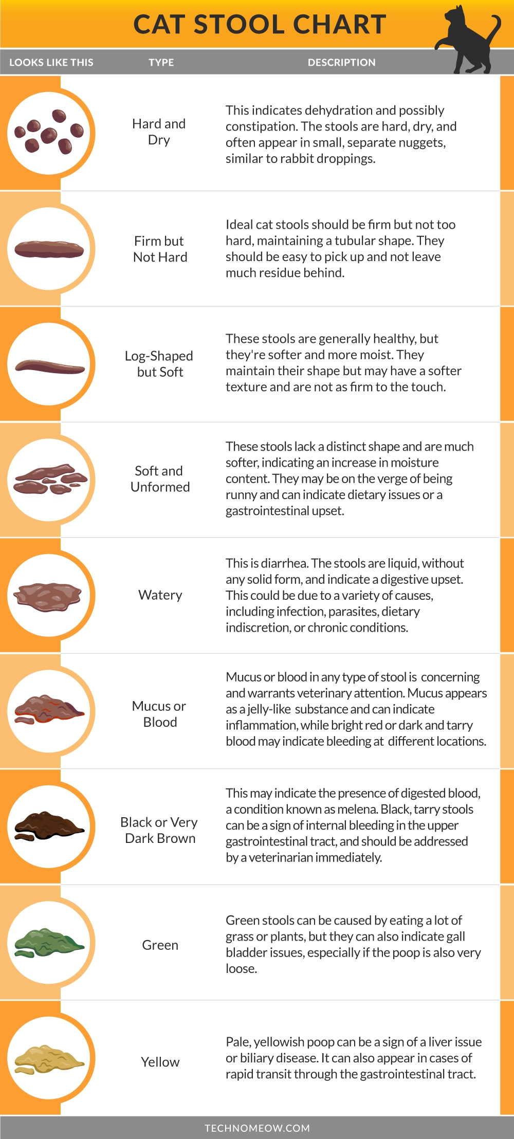 Cat Poop Explained What s Normal And What s Not TechnoMEOW