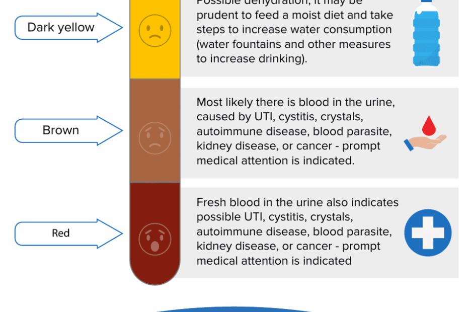 Cat Urine Color Chart Cat World Download Printable PDF