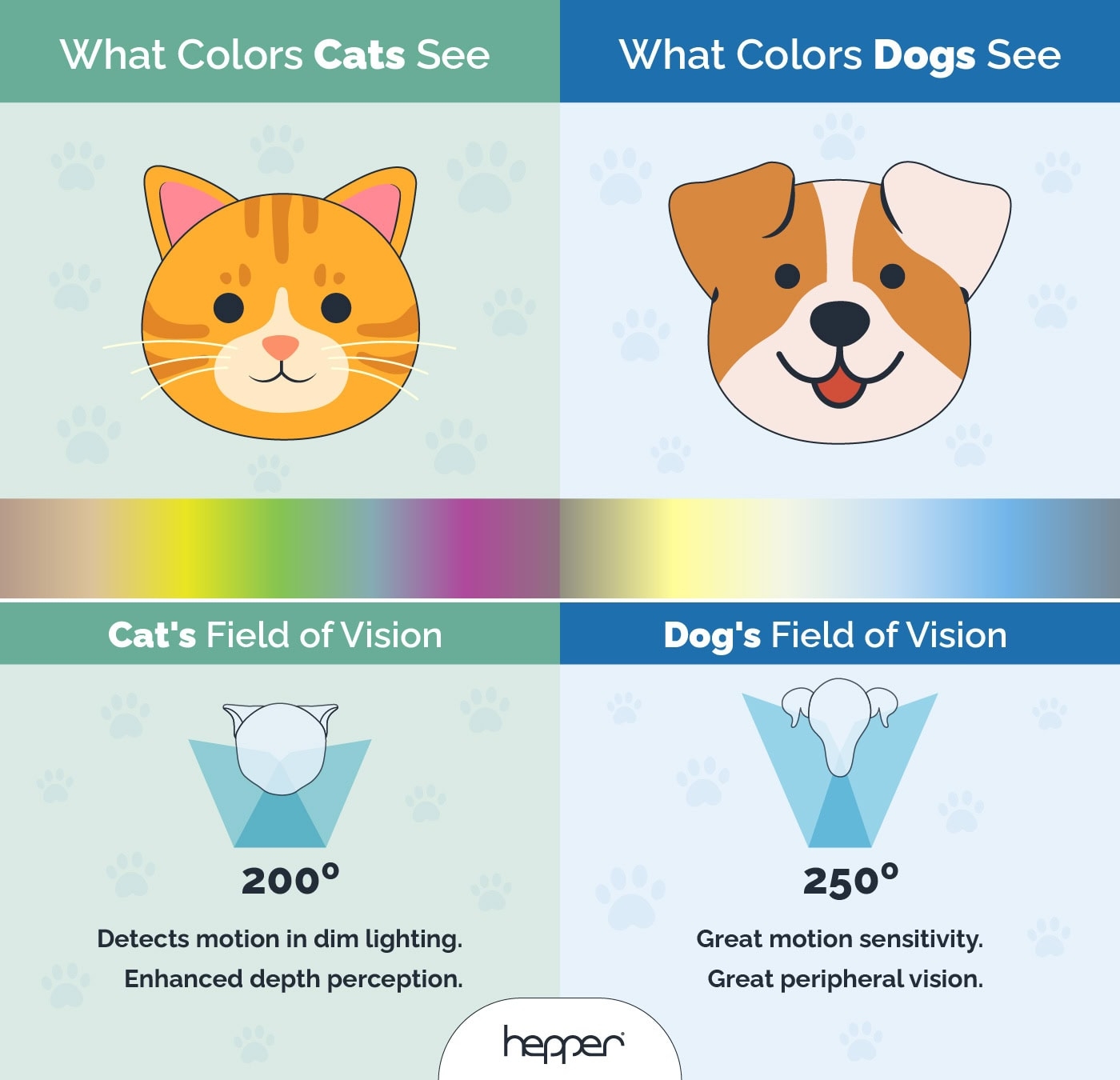 Cat Vision Vs Dog Vision Who Has The Better Eyesight Vet Reviewed Hepper Pet Resources