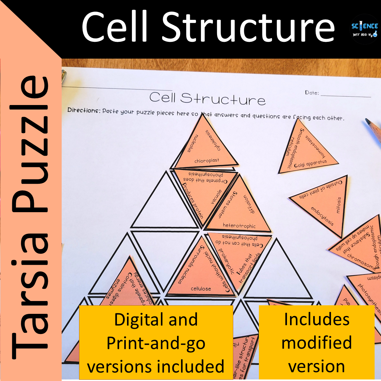 tarsia puzzle template free