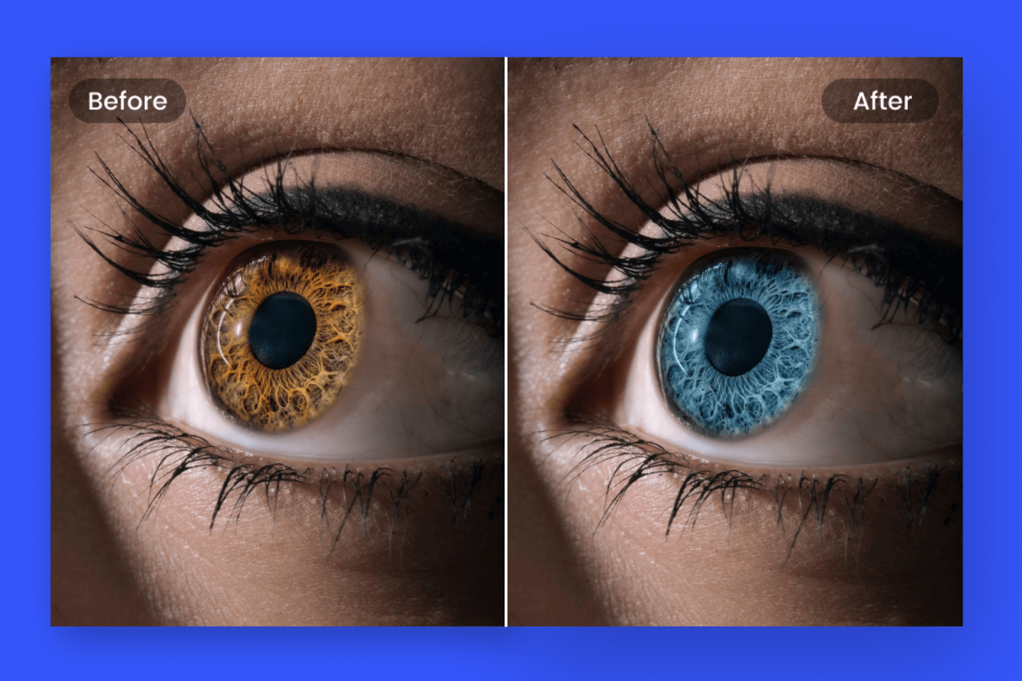 Change Eye Color Of Image With Eye Color Changer Online Fotor
