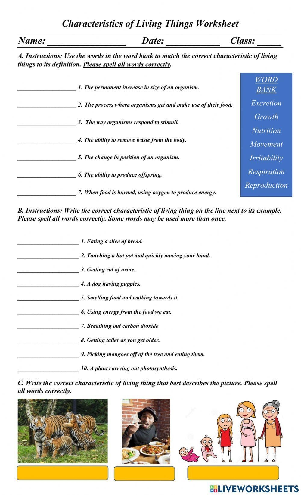 Characteristics Of Living Things Interactive Worksheet For 7 9 Worksheets Library