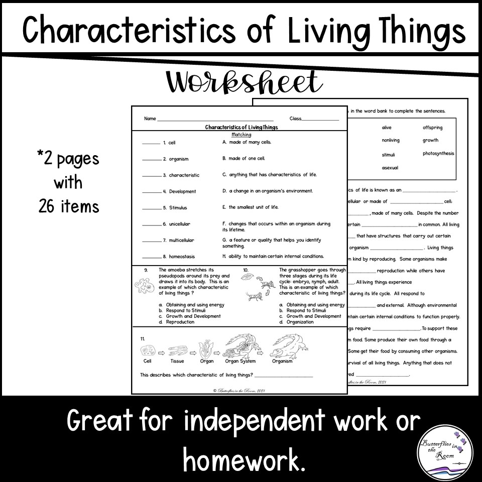 characteristics of living things worksheet