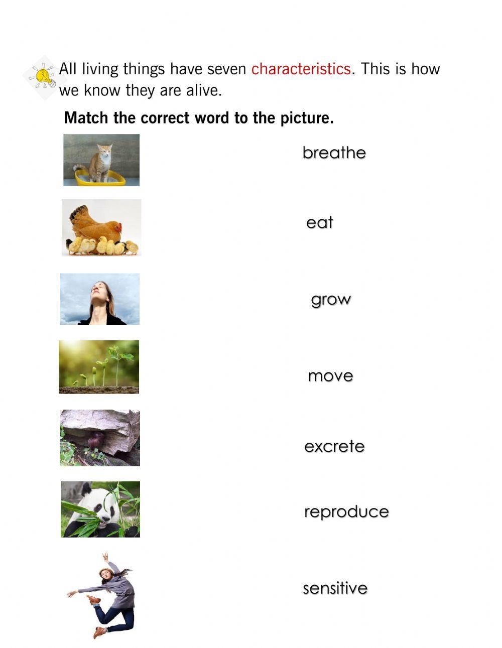 Characteristics Of Living Things Worksheet Live Worksheets Worksheets Library